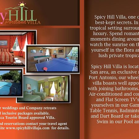 Spicy Hill Villa Πορτ Αντόνιο Δωμάτιο φωτογραφία
