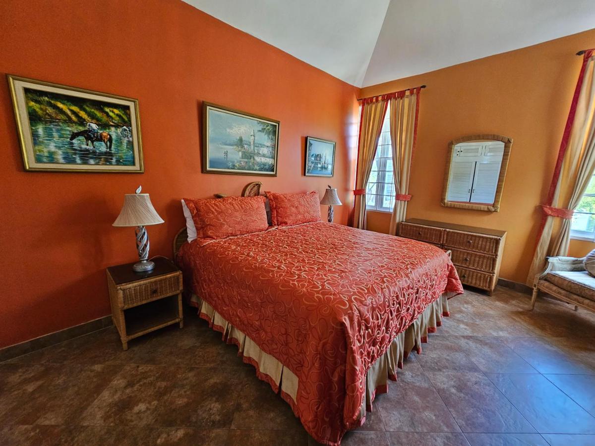 Spicy Hill Villa Πορτ Αντόνιο Εξωτερικό φωτογραφία